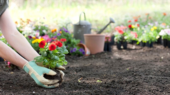 easy-landscaping-diy-projects-featured