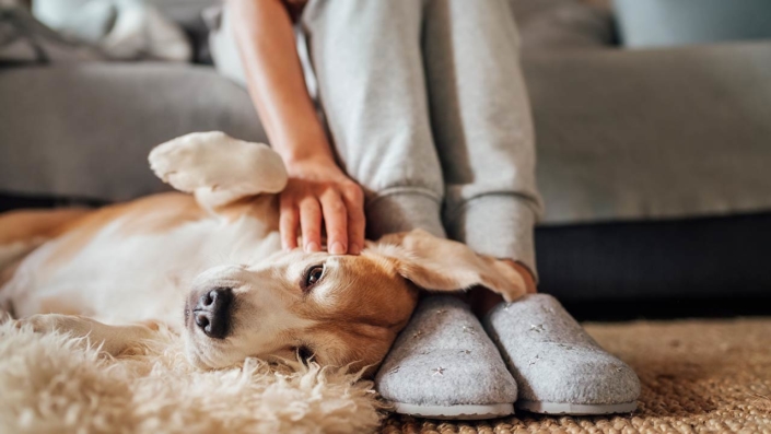 Photo of a woman sitting on a sofa while petting her adorable dog on the floor Photo of a woman sitting on a sofa while petting her adorable dog on the floor
