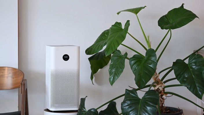 Air purifier and houseplant in living room. For fresh air and healthy life concept. Air purifier and houseplant in living room. For fresh air and healthy life concept.