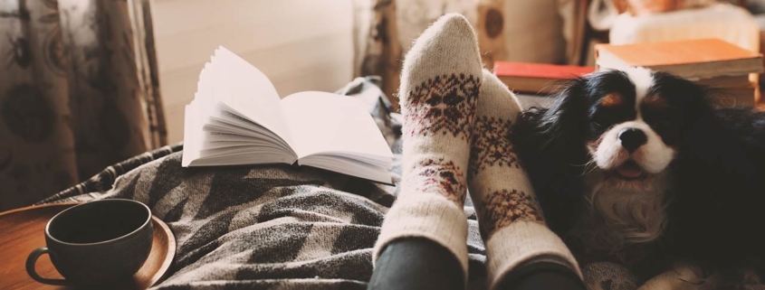 cozy fall day at home with cup of hot tea, book and sleeping dog