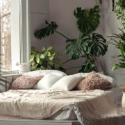Cozy bright bedroom with indoor plants