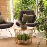 Lounge area interior with comfortable armchairs and houseplants