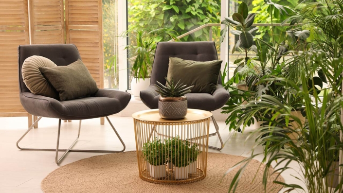 Lounge area interior with comfortable armchairs and houseplants Lounge area interior with comfortable armchairs and houseplants